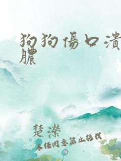 狗狗伤口溃烂化脓