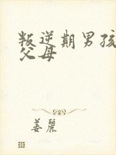 叛逆期男孩打骂父母