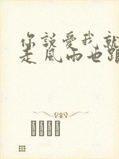 你说爱我就跟我走 风雨也跟我走