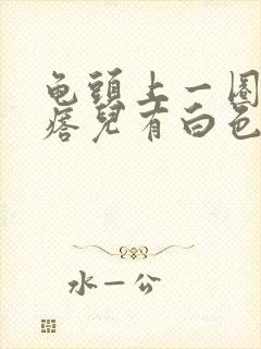 龟头上一圈小疙瘩儿有白色的