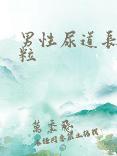 男性尿道长小肉粒