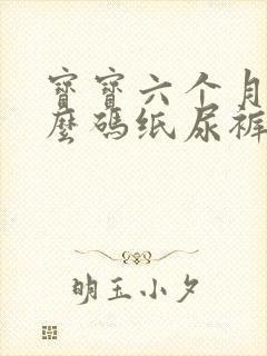 宝宝六个月用什么码纸尿裤