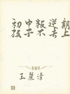 初中叛逆期的男孩子不去上学怎么去引导