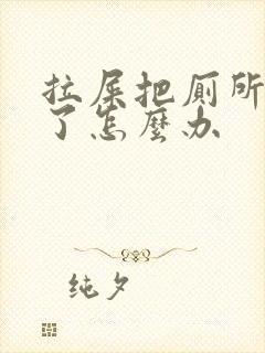 拉屎把厕所堵住了怎么办