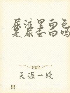 尿液里白色渣渣是尿蛋白吗