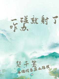 一碰就射了怎么咋办