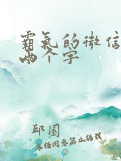 霸气的微信昵称两个字