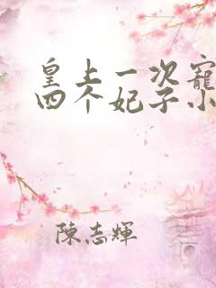 皇上一次宠幸三四个妃子小说