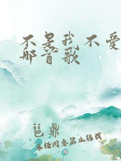 不是我不爱你是哪首歌