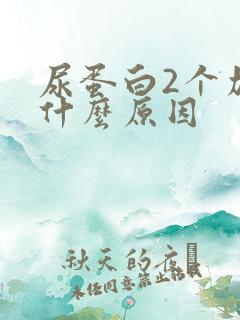 尿蛋白2个加号什么原因