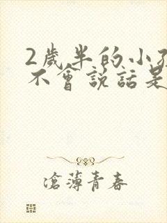 2岁半的小孩还不会说话是怎么了