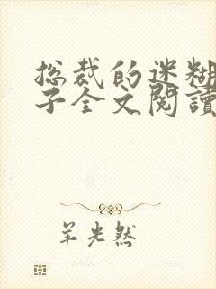 总裁的迷糊小妻子全文阅读