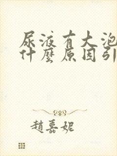 尿液有大泡泡是什么原因引起的