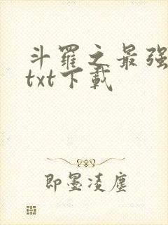 斗罗之最强赘婿txt下载