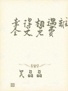 幸得相遇离婚时全文免费