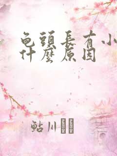 龟头长有小肉粒什么原因