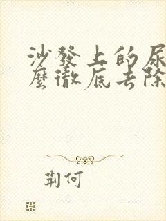 沙发上的尿味怎么彻底去除