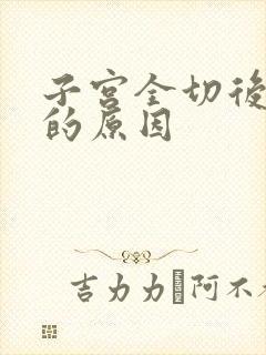 子宫全切后漏尿的原因