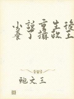 小说重生后我娇养了摄政王小说