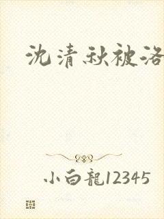 沈清秋被洛冰河