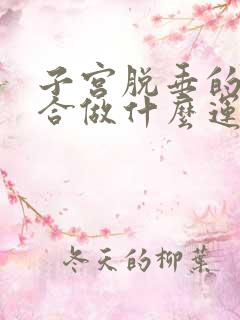 子宫脱垂的人适合做什么运动