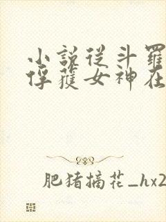 小说从斗罗开始俘获女神在线全文免费阅读