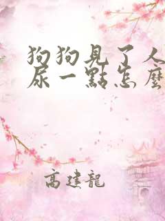 狗狗见了人就会尿一点怎么回事