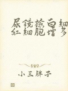 尿镜检白细胞和红细胞增多是什么意思