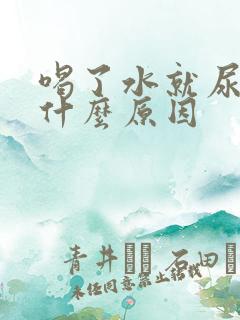 喝了水就尿多是什么原因