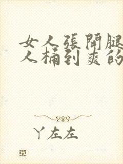 女人张开腿让男人桶到爽的视频