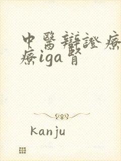 中医辩证疗法治疗iga肾