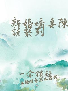 新婚娇妻陈静小说系列