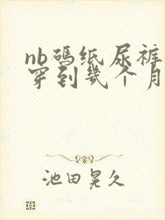 nb码纸尿裤能穿到几个月