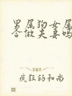 男属狗女属虎适合做夫妻吗