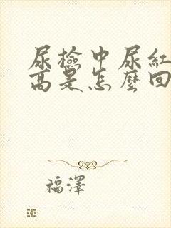 尿检中尿红细胞高是怎么回事