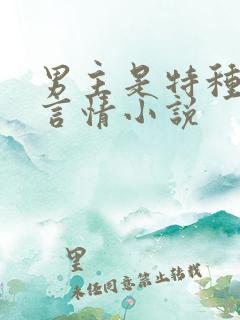 男主是特种兵的言情小说