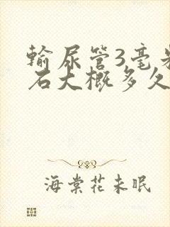 输尿管3毫米结石大概多久能排出