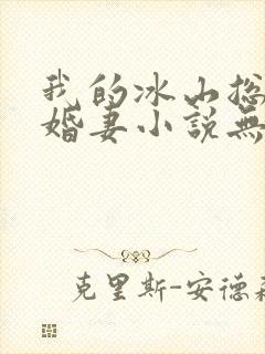 我的冰山总裁未婚妻小说无弹窗