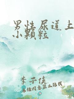 男性尿道上长了小颗粒