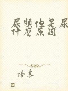 尿频但是尿少是什么原因