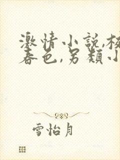 激情小说,校园春色,另类小说