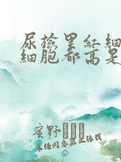 尿检里红细胞白细胞都高是咋回事