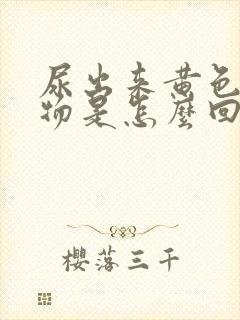 尿出来黄色浑浊物是怎么回事