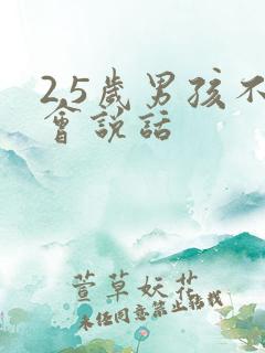 2.5岁男孩不会说话