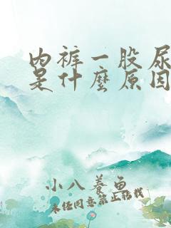 内裤一股尿骚味是什么原因