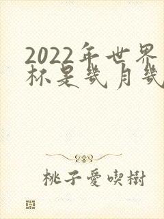 2022年世界杯是几月几日