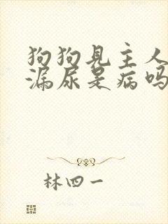 狗狗见主人激动漏尿是病吗