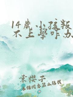 14岁小孩叛逆不上学咋办