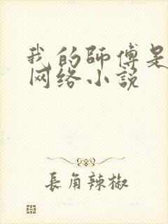 我的师傅是神仙网络小说