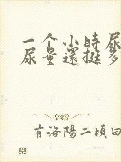 一个小时尿一次尿量还挺多